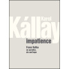Impatience /Netrpezlivosť/ - Karol Kállay