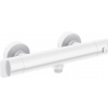 Thermostatic shower faucet