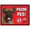 Juko Plastová tabuľa Pozor Pes Boxer 21 x 14,7 cm