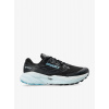 Dámske bežecké topánky Brooks Cascadia 19 GTX - black/ebony/blue flower