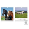 Horses 2026 - nástěnný k…