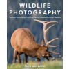 Wildlife Photography