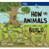 How Animals Build