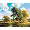 Maľovanie podľa čísel - Stromy pri rieke, 50 x 40 cm, napnuté plátno na ráme 8596530025498