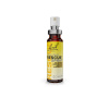 A. Nelson RESCUE REMEDY - Krízová esencia - sprej s alkoholom Obsah: 20 ml