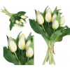 TULIPÁNY KYTICA TULIPÁNOV GUMOVÉ GUMOVANÉ AKO ŽIVÉ 7 KS
