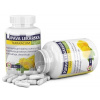 PÚPAVA lekárska - TARAXACUM FORTE - Pharmed New cps 1x60 ks