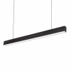 Spectrum WOJP06315