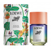 Loewe Paula’s Ibiza Eclectic Toaletná voda, 50ml, unisex