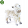 Rappa lama Alpaka stojící 23 cm