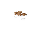Royal Canin RC Mo SHN MINI ADULT 8 kg