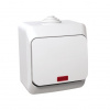 PREPÍNAČ STRIEDAVÝ (6So) IP44 CEDAR BIEL