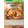 Naučné karty Naše nejznámější houby