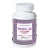 NATURVITA, a.s. NATURVITA TRIBULUS + ARGINÍN cps 1x90 ks 90 ks