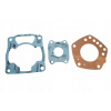 XRADICAL (ARTEIN GASKETS) TESNENIA TOP END HONDA FES PANTHEON 125 2T '98-'