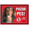 Tabuľka Pozor pes - rôzne plemená - Jazvečík dlhosrstý hnedý
