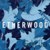 Etherwood: Blue Leaves - Music on Vinyl