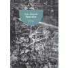 Ptačí ulice - Piotr Paziński