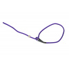 Firedog Moxon krátke kontrolné vodítko Classic 6 mm 80 cm fialové