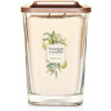 YANKEE CANDLE VONNÁ SVIEČKA YANKEE CANDLE, vôňa citrónu, borovice a eukalyptu - Citrus Grove, hranatá veľká, 2 knôty, 552g. Elevation
