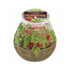 Sviečka bolsius Teracce Citronella, 94/91mm, paradajka