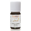 HANUS SILICA LITSEA CUBEBA ole 1x10 ml Hanus - Bylinné prípravky