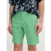 Tommy Hilfiger pánske zelené šortky MW0MW23568 30/NI