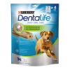 Dentalife Large 142g