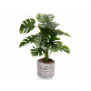 UMELÁ MONSTERA ZELENÁ V KVETINÁČI IZBOVÉ KVETY ZELENÉ 37 cm