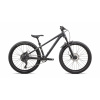 Dirtový bicykel SPECIALIZED P.2 Trail Veľkosť: 24