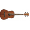 Ibanez PNB14E Open Pore Natural