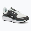 Dámska bežecká obuv Nike Winflo 11 GORE-TEX anthracite/black/photon dust/metallic silver