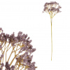 Autronic Gypsophila - umelá rezaná, farba tmavo fialová KN7023 PUR