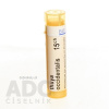 Thuya Occidentalis gra.1 x 4 g 15CH