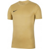 Nike Dry Park VII JSY SS JR BV6741-729 football jersey