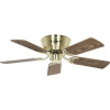 CasaFan FLAT 103-III MG-EA/BU Flügel Eiche antik/Buche stropný ventilátor, 65 W, (Ø x v) 103 cm x 164 mm, mosadzná (kartáčovaná), 5103045; 5103045
