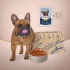 Club 4 Paws Premium Plus Selection Adult s kačicou a moriakom v omáčke 12 x 85 g