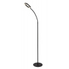 Rabalux RADER LED stojacia lampa 74004