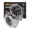 Benzínový motor 2.takt 44mm 1E44F 52CC PROCRAFT | 1E44F-ENGINE ( )