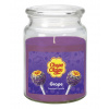 Chupa Chups Grape /hrozno/ vonná sviečka 510g