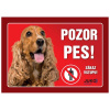 Juko Plastová tabuľa Pozor Pes Kokršpaniel 21 x 14,7 cm