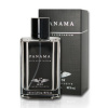 Cote Azur Panama Men, Toaletna voda 100ml (Alternativa parfemu Giorgio Armani Acqua di Gio Profumo) pre mužov