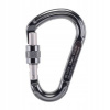 Karabína Beal Be Lock Screw strieborná