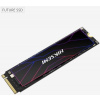 Hikvision Hiksemi FUTURE 1TB, HS-SSD-FUTURE(STD)/1024G/PCIE4/WW