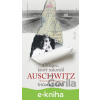 E-kniha Chlapec, ktorý nakreslil Auschwitz - Thomas Geve