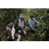 Sumatra Aceh WASHED - stredné praženie (200 g, zrnková káva)