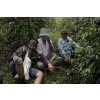 Sumatra Aceh WASHED - stredné praženie (200 g, zrnková káva)
