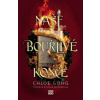 Naše bouřlivé konce - Chloe Gong
