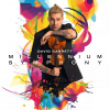GARRETT DAVID - Millennium Symphony (1CD)