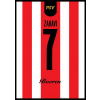 Superfutbal Maketa dresu PSV Eindhoven, červená / biela Rozmer: A2, Meno a číslo: Zahavi 7